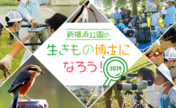 新横浜公園の生きもの博士になろう！2024 　次回は8/3開催