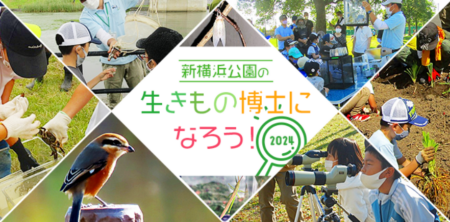 新横浜公園の生きもの博士になろう！2024 　次回は8/3開催